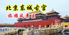 岛国插鸡巴中国北京-东城古宫旅游风景区